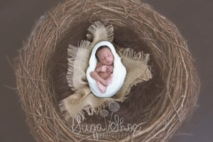 SugaShoc_Photography_Newborn_Photographer_Bucks County_Doylestown_PA_newborn_portrait_session_in_nest