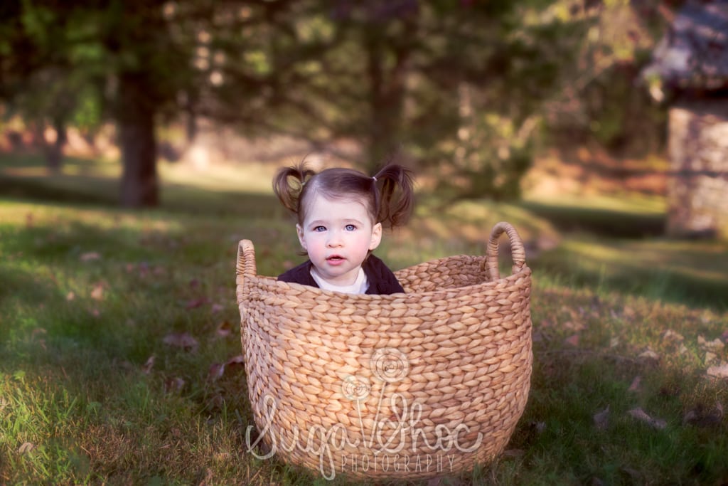 SugaShoc_Photography_Family_Photographer_Bucks County_Doylestown_PA_child_in_basket_outdoors