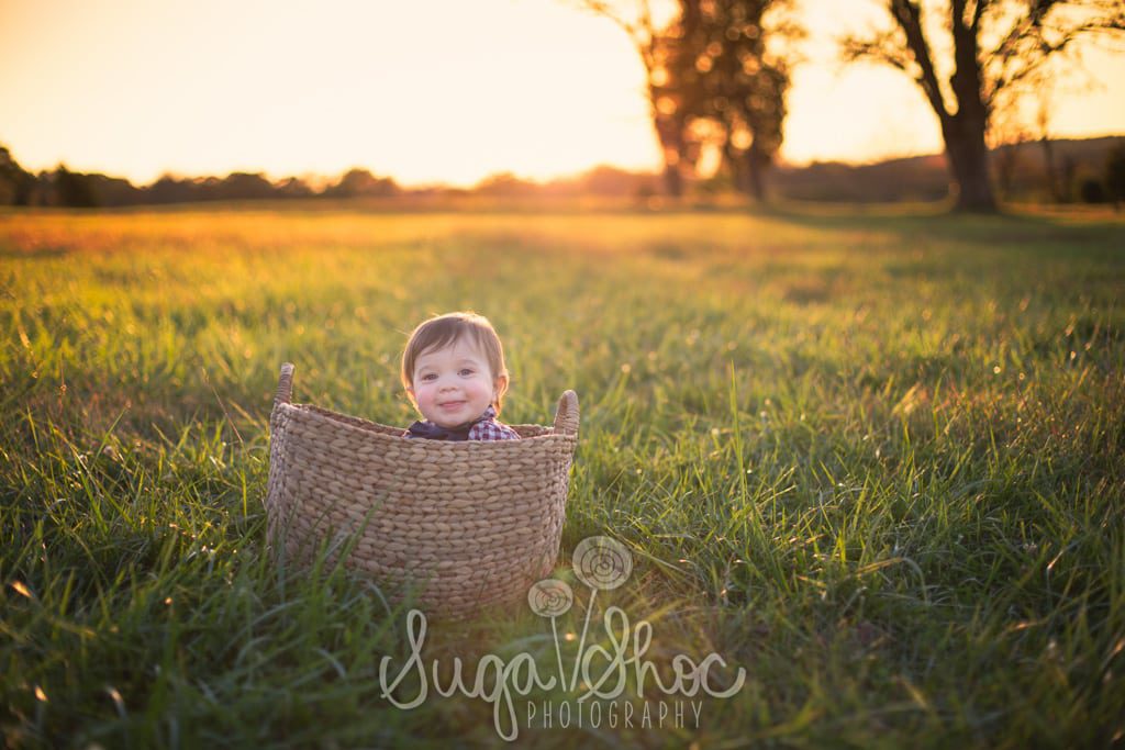 SugaShoc_Photography_Baby_Photographer_Bucks County_Doylestown_PA_one_year_old_session_at_park_in_basket_at_sunset