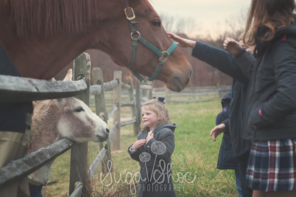 SugaShoc_Photography_Family_Photographer_Bucks County_Doylestown_PA_Outdoor_family_photography_session_ideas_in_bucks_county_petting_horse