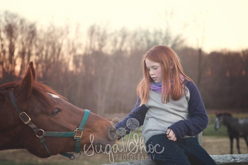 SugaShoc_Photography_Children_Photographer_Bucks County_Doylestown_PA_outdoor_family_session_at_the_farm_feeding_horse