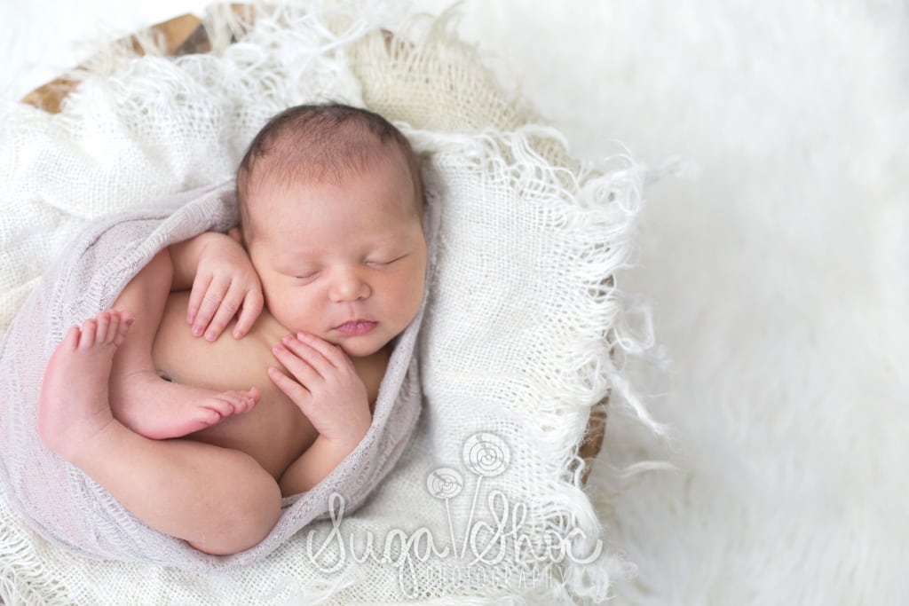 SugaShoc_Photography_Newborn_Photographer_Bucks County_Doylestown_PA_newborn_wrapped_in_bowl