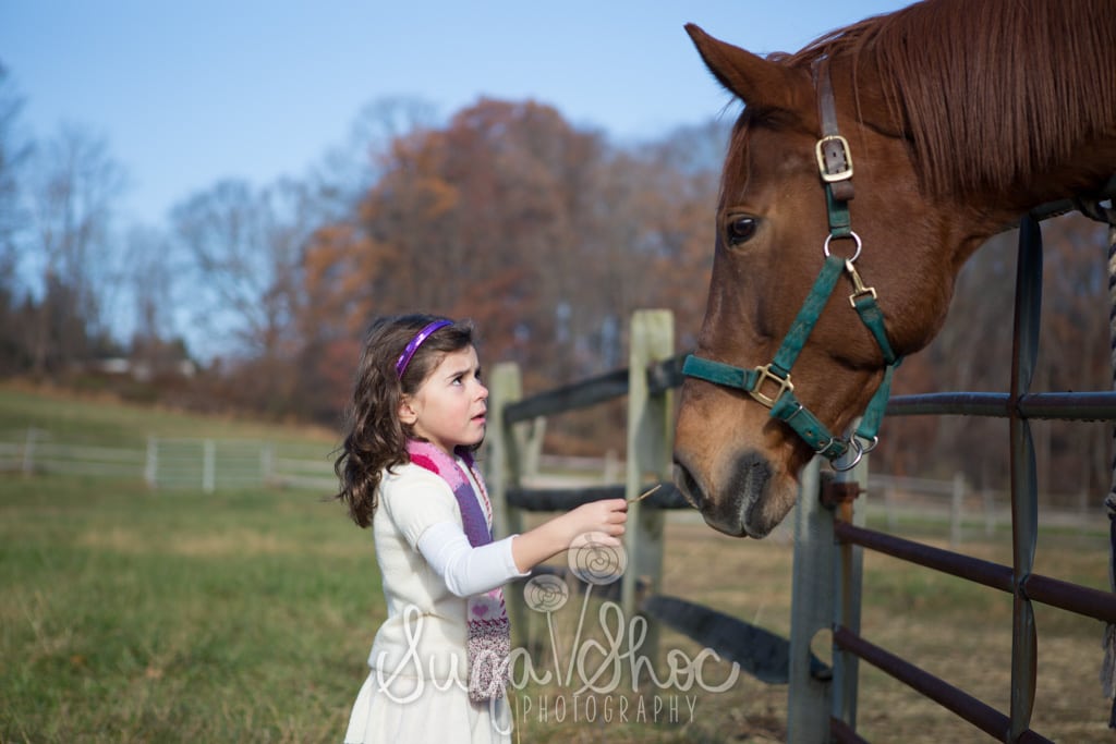 SugaShoc_Photography_Family_Photographer_Bucks County_Doylestown_PA_mini_session_outdoor_kids_feeding_animal