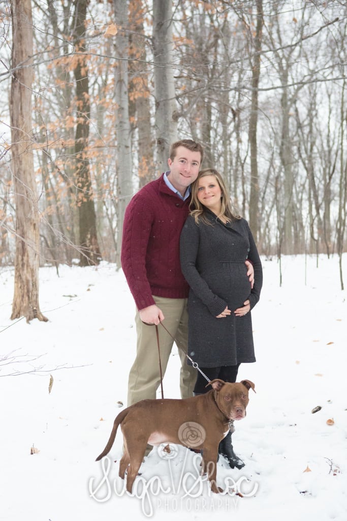 maternity photography bucks county doylestown pa outdoor maternity snow session with dog