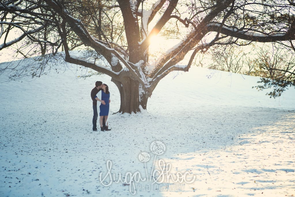 SugaShoc_Photography_Maternity_Photographer_Bucks County_Doylestown_PA_couple_snow_maternity_session_at_longwood_gardens_posed_kissing_under_tree