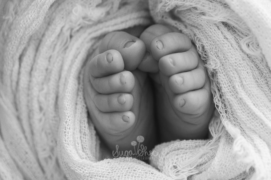 SugaShoc_Photogra phy_Newborn_Photographer_Bucks_County_PA_Doylestown_PA_macro_newborn_feet_shot_with_frayed_scarf_wrapped_around_feet