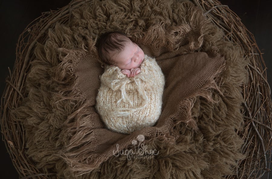 SugaShoc_Photography_Newborn_Photographer_Bucks_County_PA_Doylestown_PA_newborn_swaddle_sack