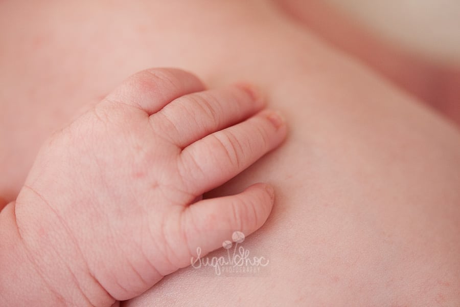 SugaShoc_Photography_Newborn_Photographer_Bucks_County_PA_Doylestown_PA_macro_shot_of_newborn_hand