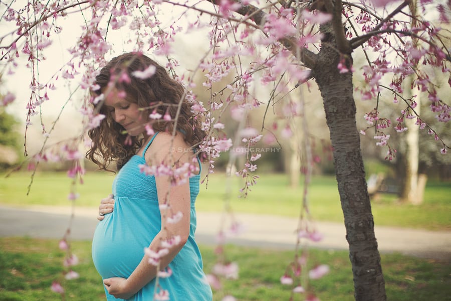 SugaShoc_Photography_Maternity_Photographer_Bucks_County_PA_Doylestown_PA_maternity_session_at_horticulture_center_fairmount_park_cherry_blossoms