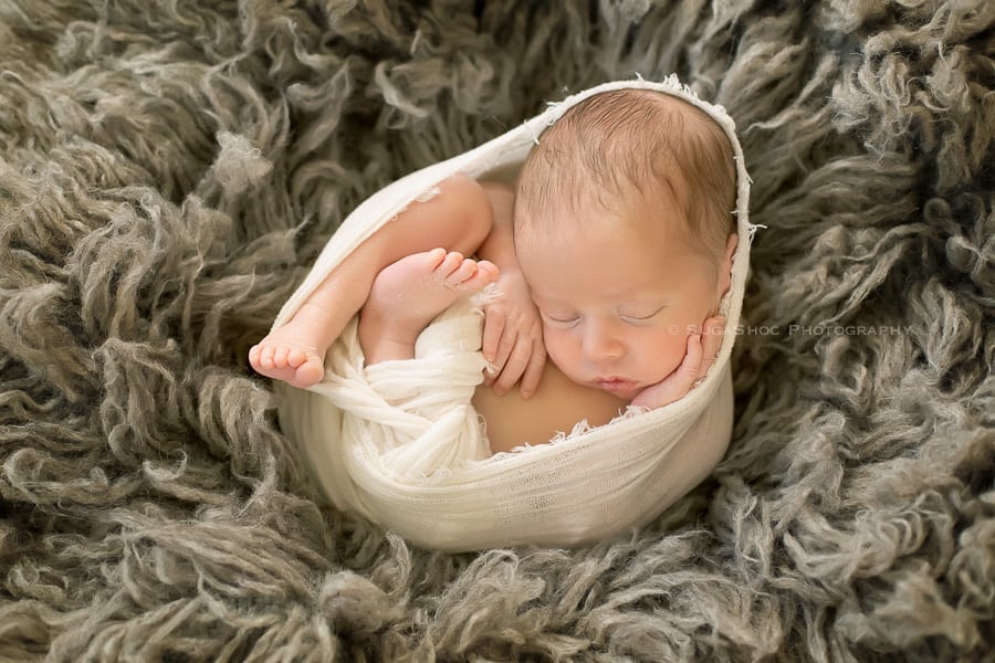 SugaShoc_Photography_Newborn_Photographer_Bucks_County_PA_Doylestown_PA_newborn_posing_ideas_newborn_curled_up_wrapped_shot_grey_flokati