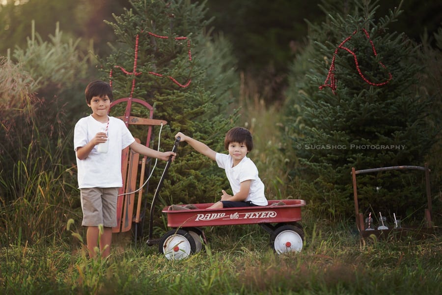 SugaShoc_Photography_Family_Photographer_Bucks_County_PA_Doylestown_PA_Holiday_Mini_Session_2015_brothers_in_trees_with_wagon