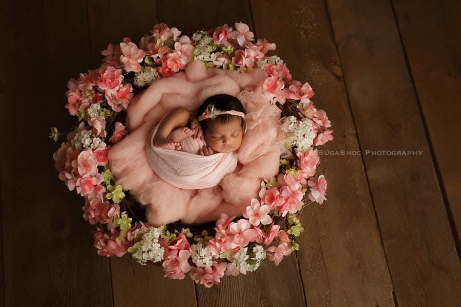 newborn baby girl in a flower nest set up sugashoc_photography_newborn_photographer_bucks_county_pa_doylestown_pa