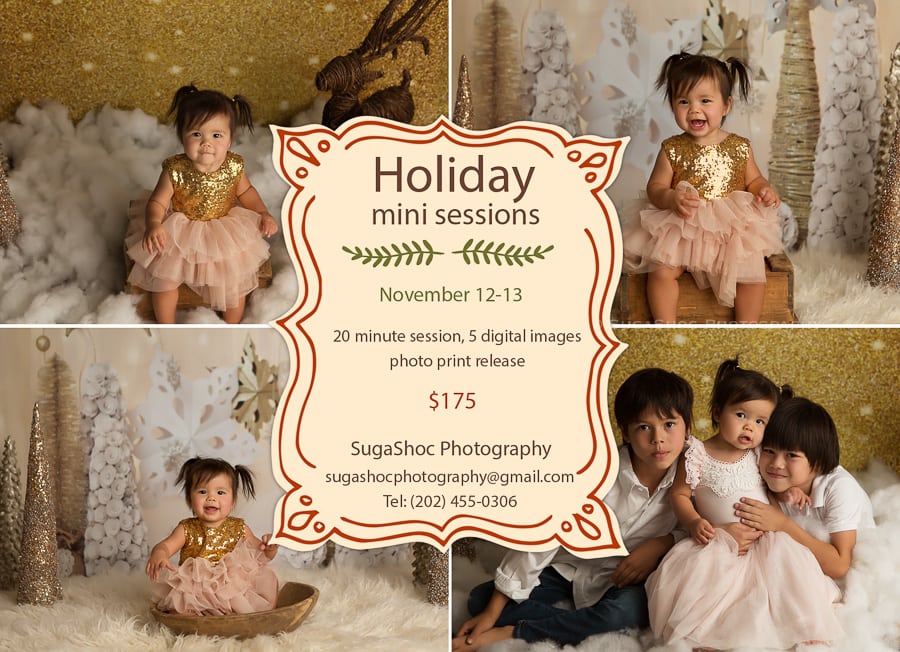 holiday mini session template