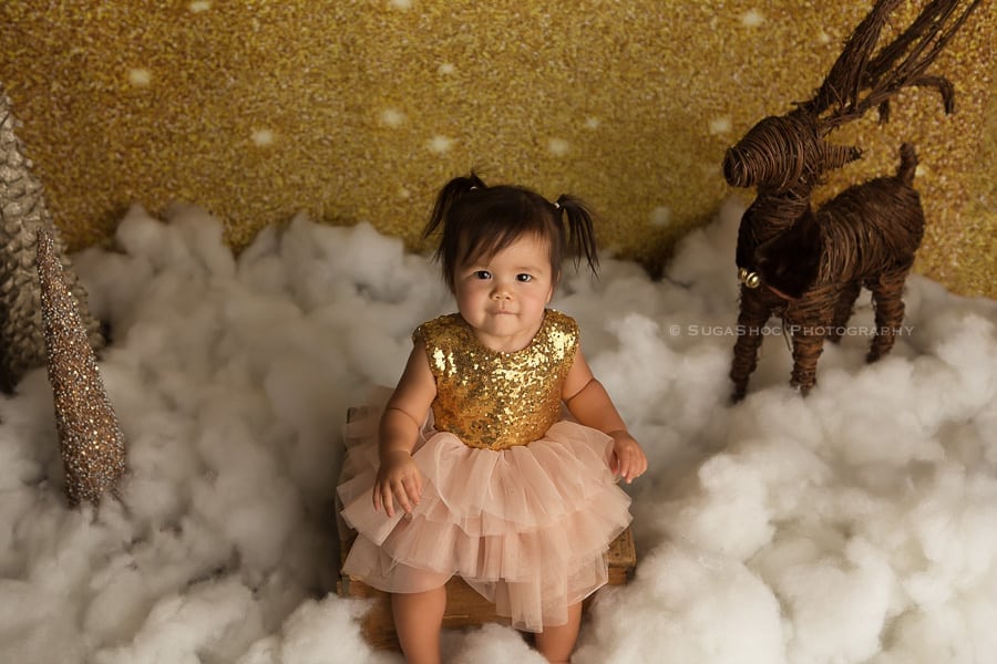 sugashoc_photography_newborn_photographer_bucks_county_pa_doylestown_pa_holiday_mini_session_2016_baby_in_sequin_dress_in_clouds