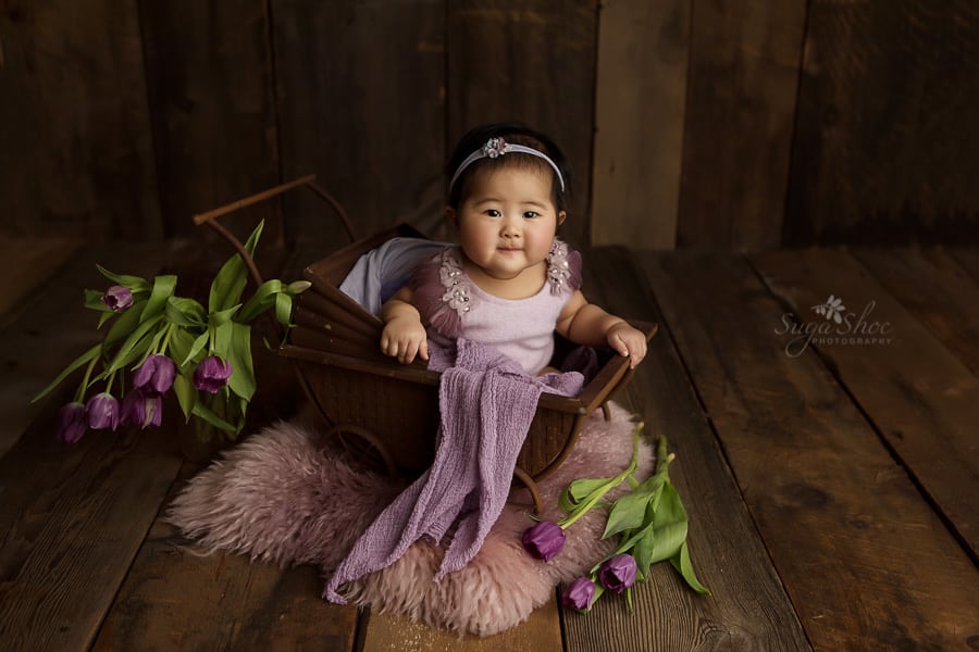 SugaShoc Photography Baby Photographer Bucks County PA