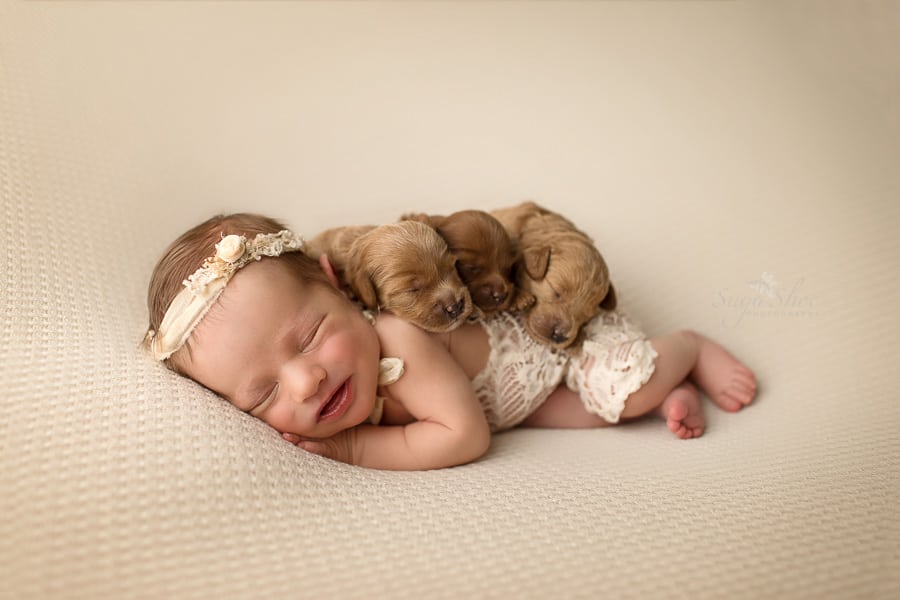 SugaShoc_Photography_Newborn_Photographer_Bucks County_Doylestown_PA_newborn_with_three_puppies_smiling_and_sleeping
