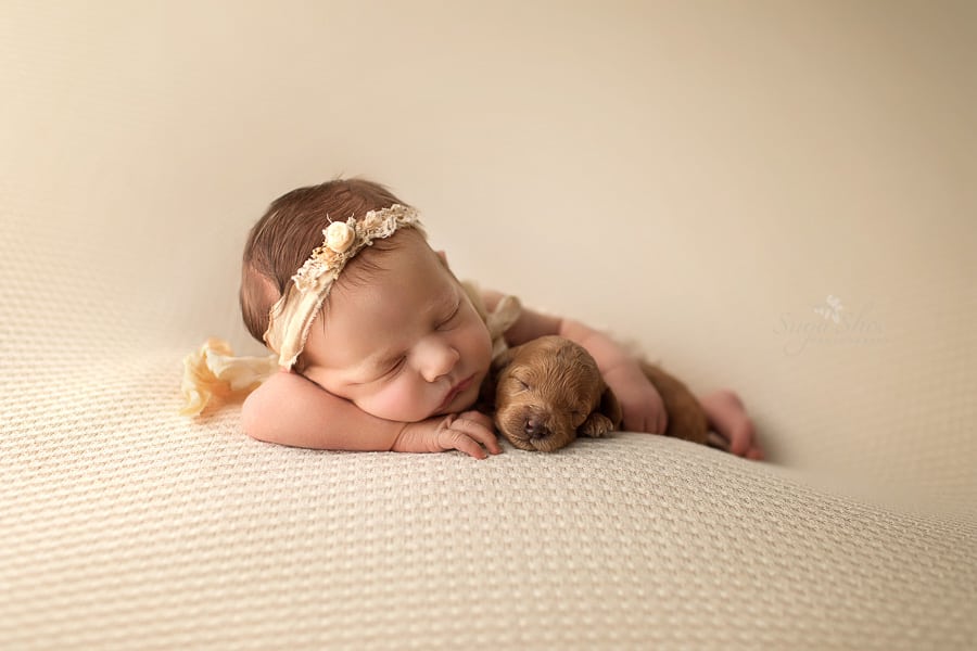 SugaShoc_Photography_Newborn_Photographer_Bucks County_Doylestown_PA_newborn_with_puppy_sleeping