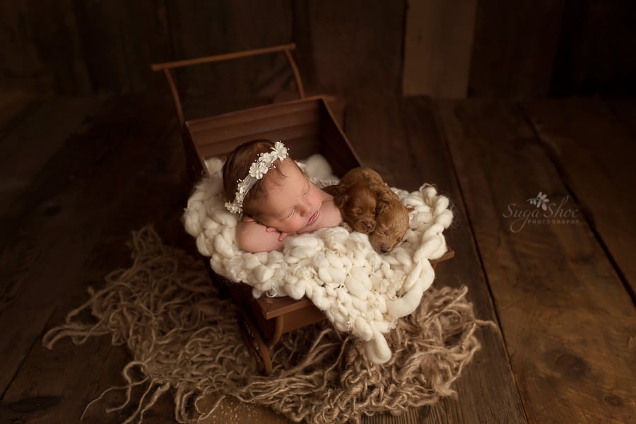 SugaShoc_Photography_Newborn_Photographer_Bucks County_Doylestown_PA_newborn_with_puppy_sleeping_in_crate