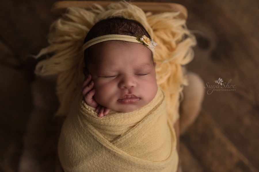 SugaShoc Photography Newborn Photographer Bucks County PA Doylestown PA newborn wrapped in bed