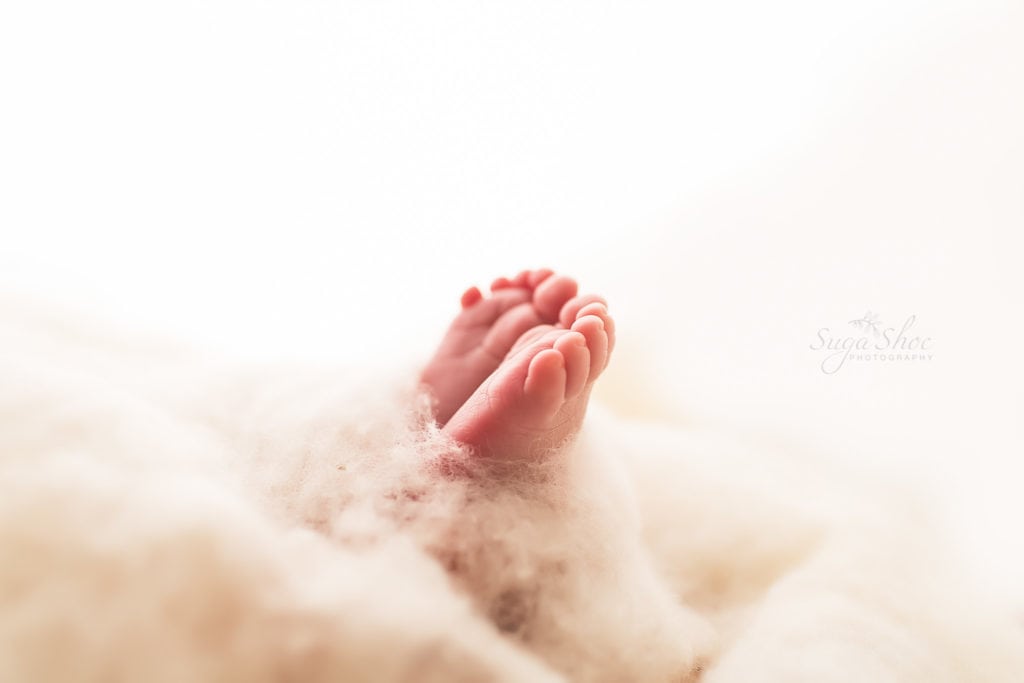 SugaShoc Photography Newborn Photographer Bucks County PA Doylestown PA Neutral Tones Baby feet sticking out of cream cotton material with white backdrop close-up