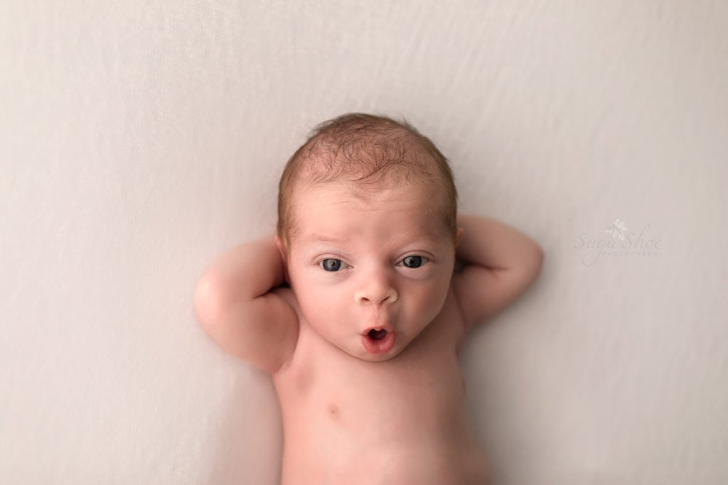 SugaShoc Photography Newborn Photographer Bucks County PA Doylestown PA Neutral Tones Baby boy awake shot with hands behind his head on cream bedding tucked in with cream blanket