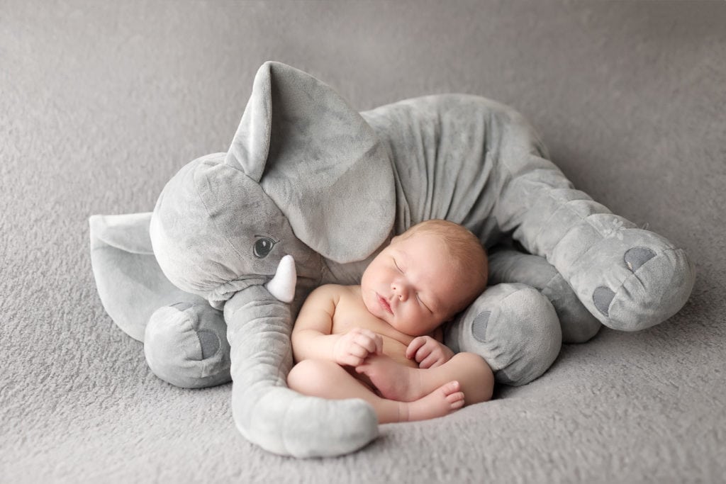 SugaShoc Photography Newborn Photographer Bucks County PA Doylestown PA Baby boy sleeping with stuffed elephant