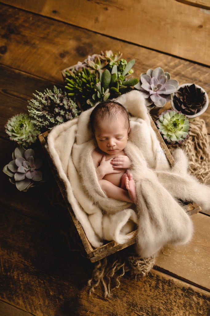 SugaShoc Photography Newborn Photography Bucks County PA Doylestown PA Newborn Photographer Succulent Newborn Session baby sleeping in wooden crate with white wrap surrounded by succulents