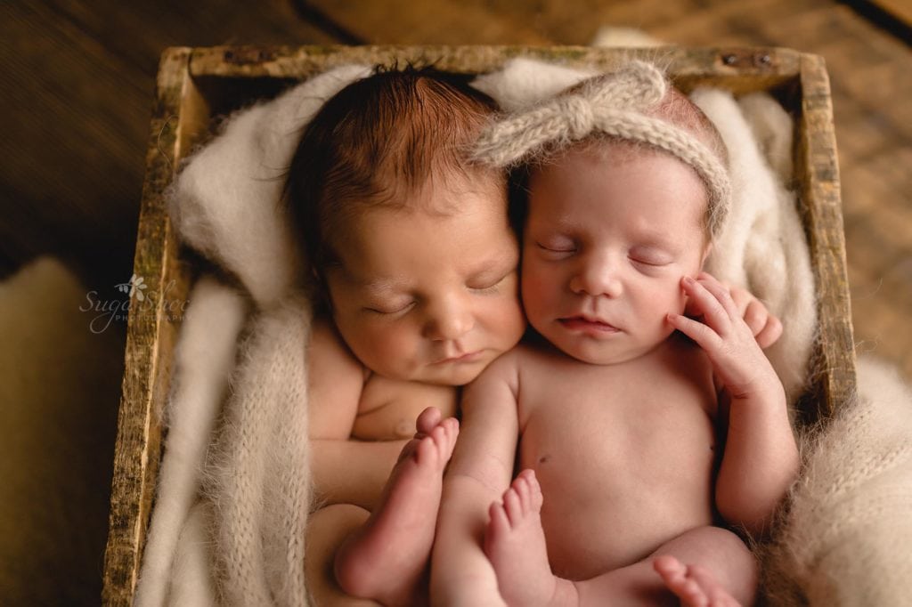 Sugashoc Photography Montgomery County Newborn Photographer twin newborns sleeping in crate