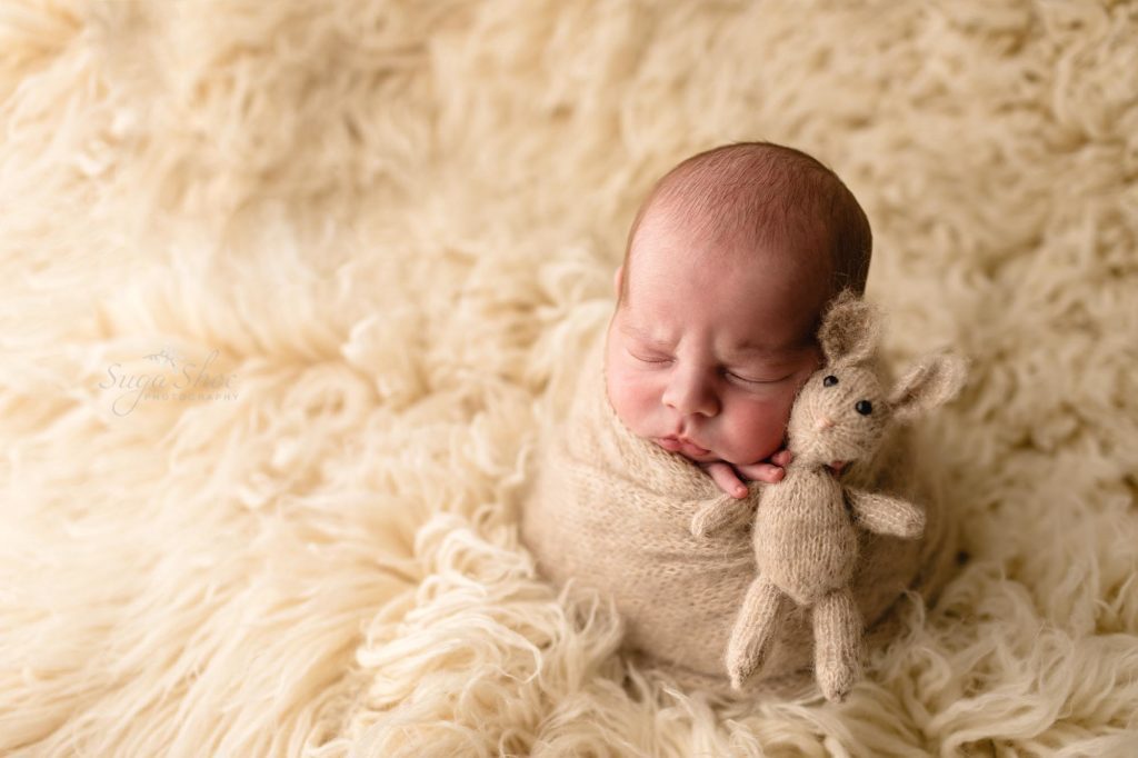 SugaShoc Photography Neutral Newborn Photo Session, baby wrapped in off white with cuddly friend