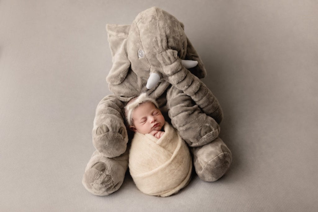 best baby announcements, swaddled infant next to plush elephant